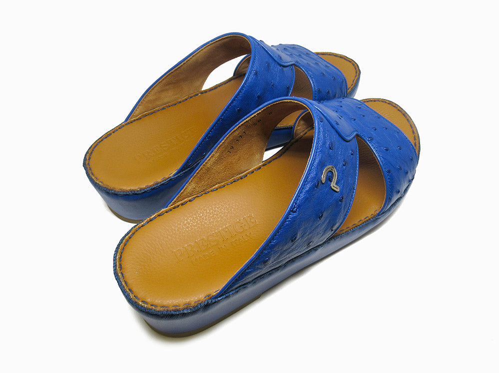 Ostrich Model 177 Blue Mood
