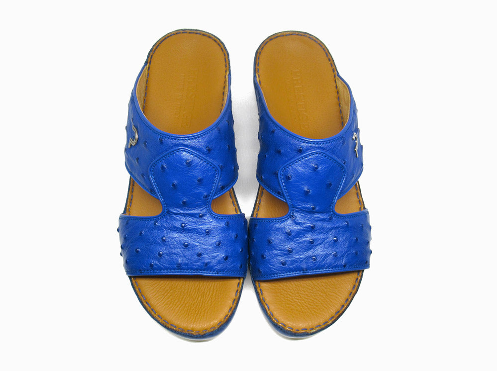 Ostrich Model 177 Blue Mood