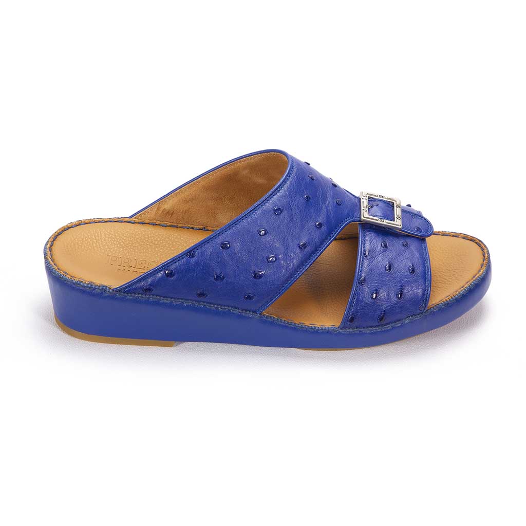 Ostrich Model 493 Blue Mood