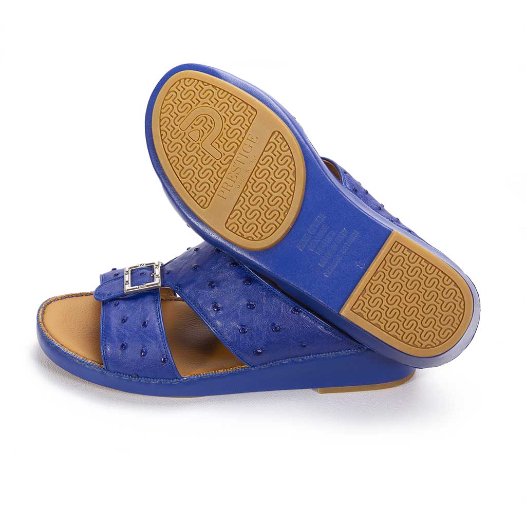 Ostrich Model 493 Blue Mood